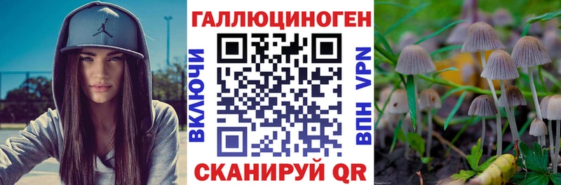 наркошоп Красноперекопск маркетплейс официальный сайт Псилоцибиновые грибы GOLDEN TEACHER